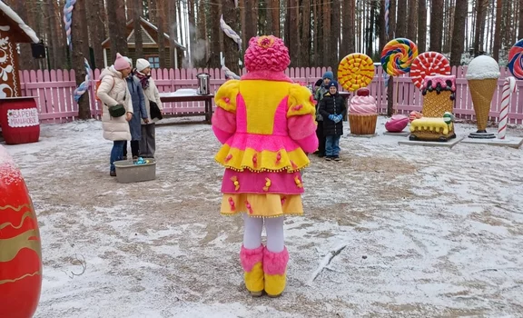 «В гости к Зимнему Волшебнику» (2 дня / 1 ночь) Архангельск 🎄